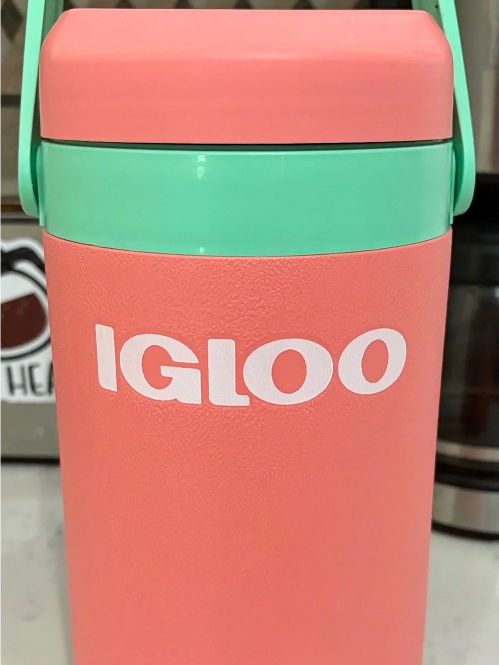 Igloo Coral Pink and Mint Insulated Water Bottle